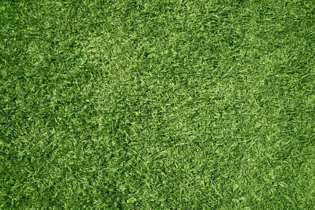 lawn, artificial grass, wallpaper .jpg